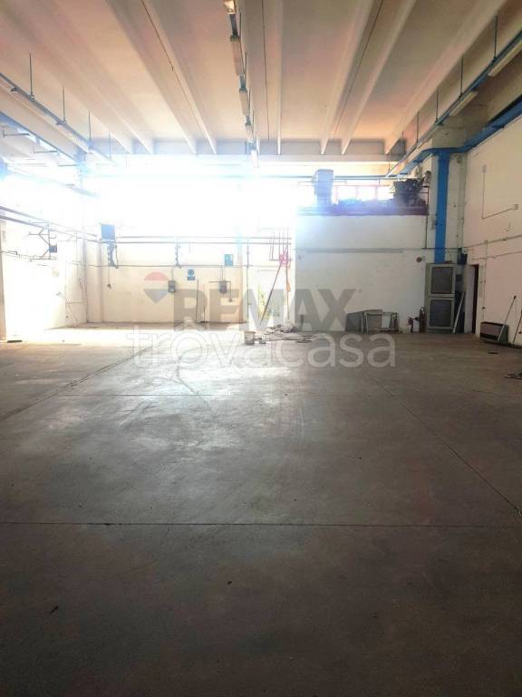 immagine annuncio 9 di 11