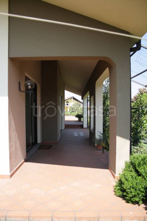 immagine annuncio 6 di 15