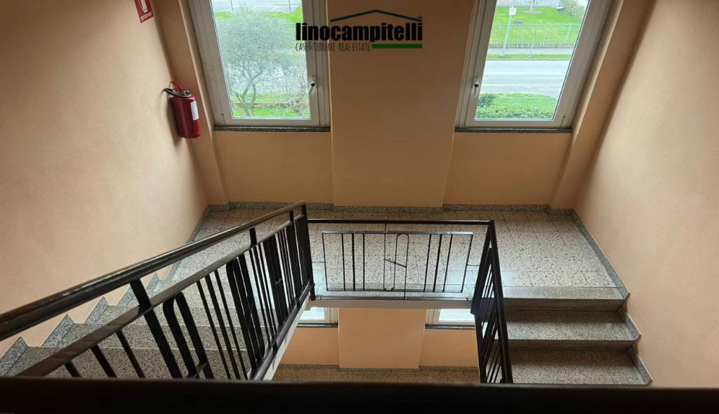 immagine annuncio 9 di 12