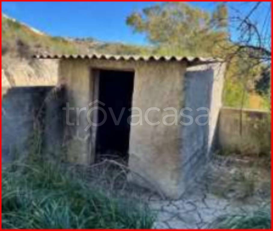 immagine annuncio 11 di 14