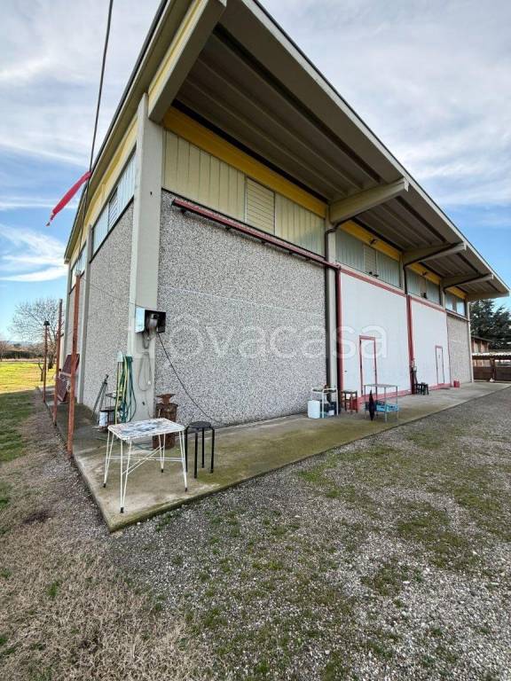 immagine annuncio 2 di 8