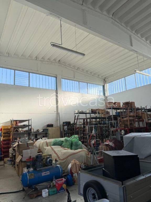 immagine annuncio 5 di 8