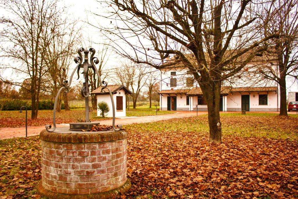 immagine annuncio 3 di 13