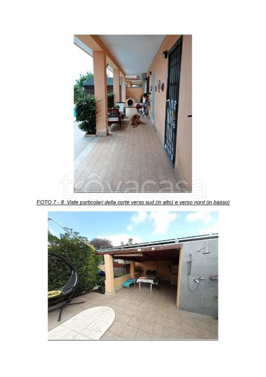 immagine annuncio 4 di 14