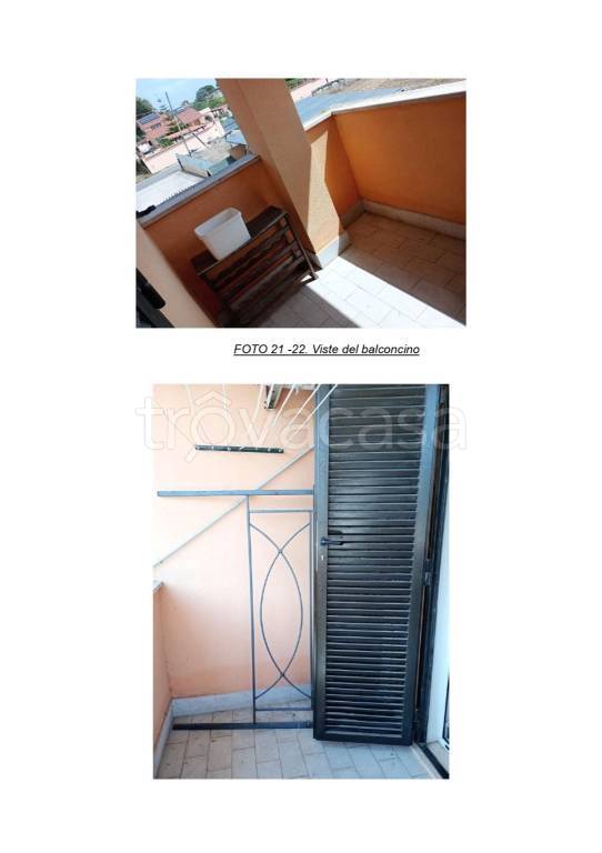 immagine annuncio 11 di 14