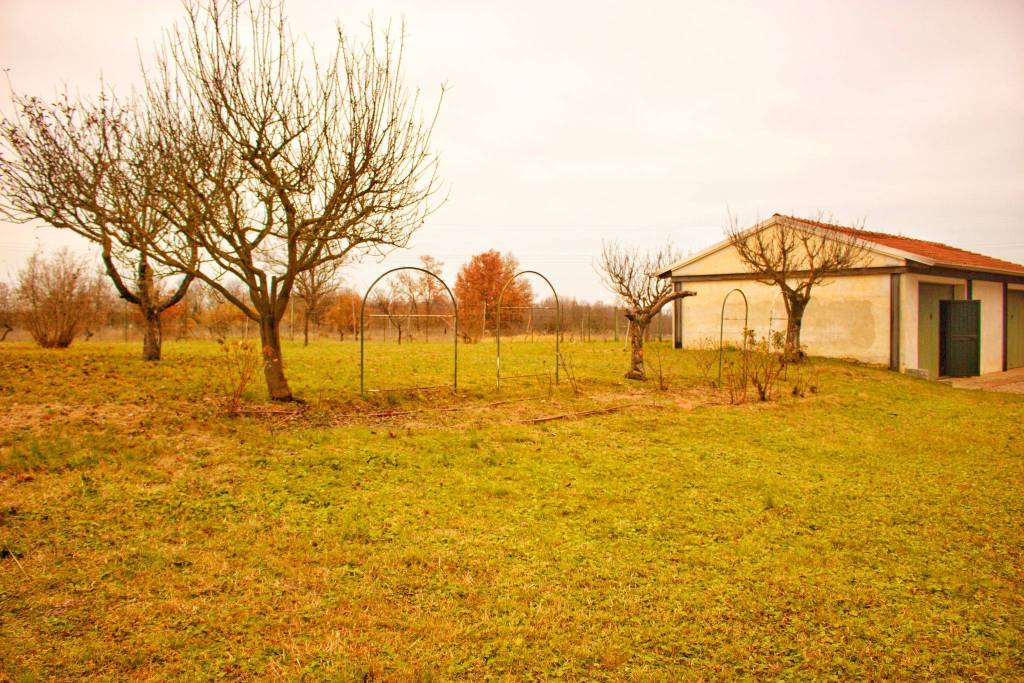 immagine annuncio 12 di 13