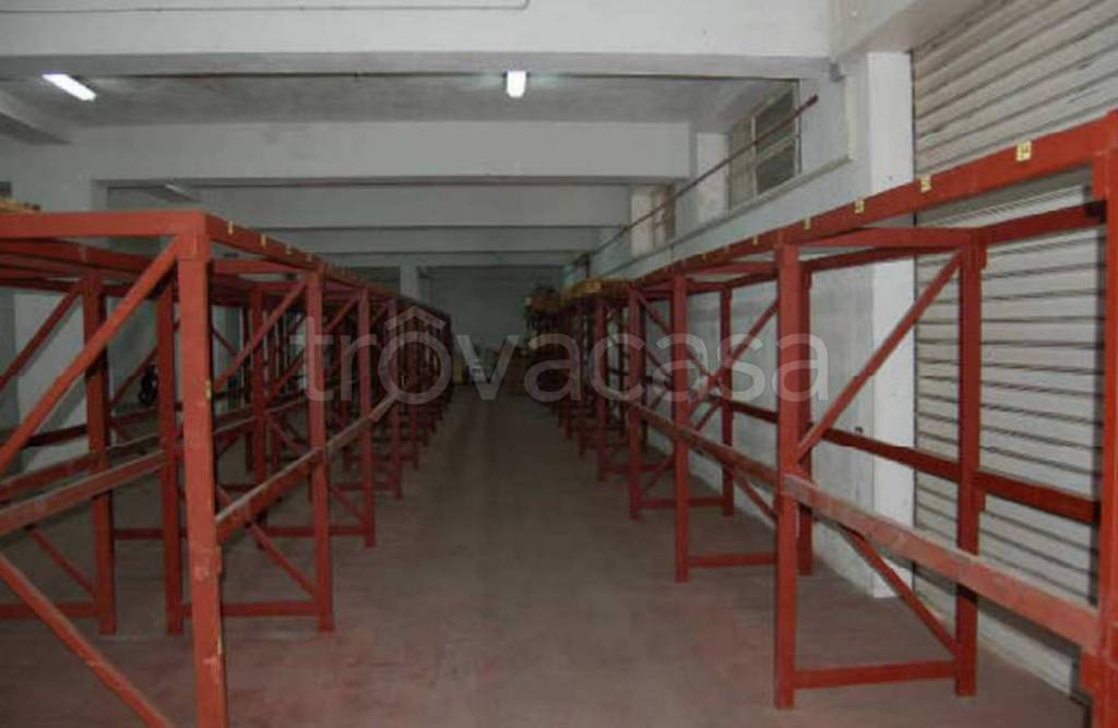 immagine annuncio 9 di 11