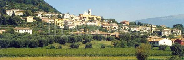 immagine annuncio 3 di 7