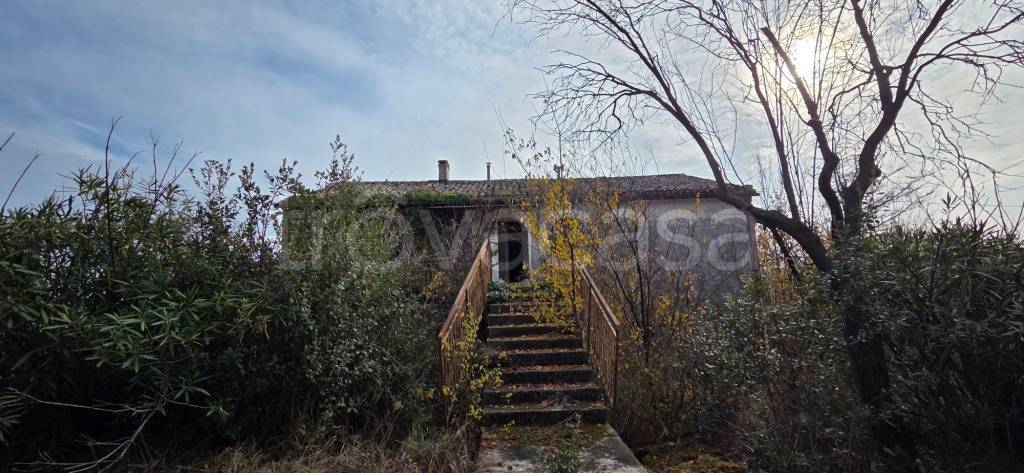 immagine annuncio 5 di 12