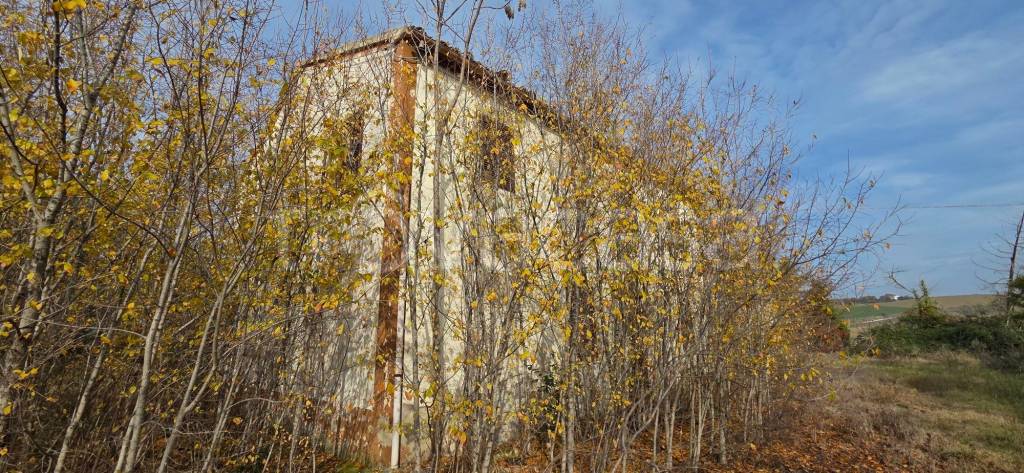 immagine annuncio 7 di 12