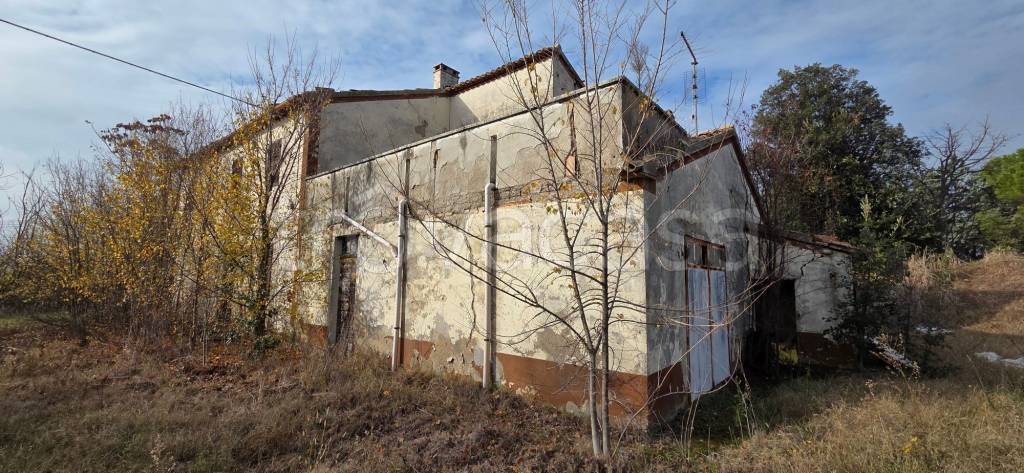 immagine annuncio 8 di 12