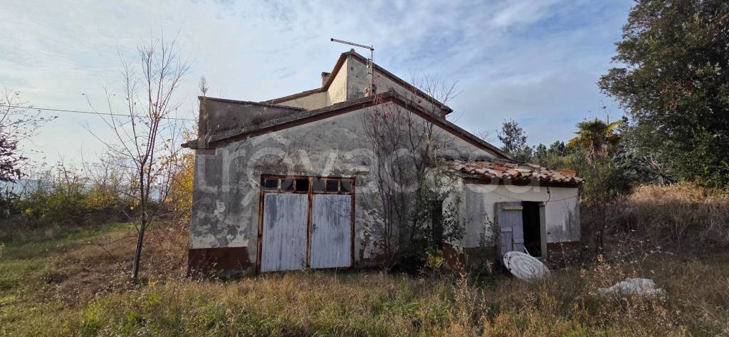 immagine annuncio 3 di 12