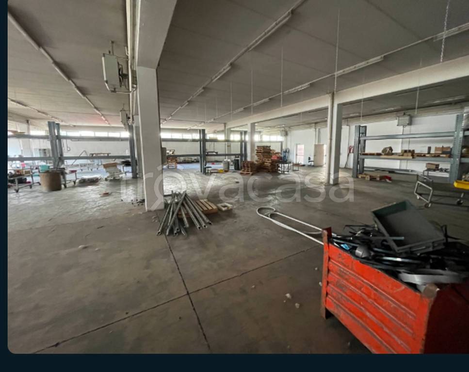 immagine annuncio 1 di 11