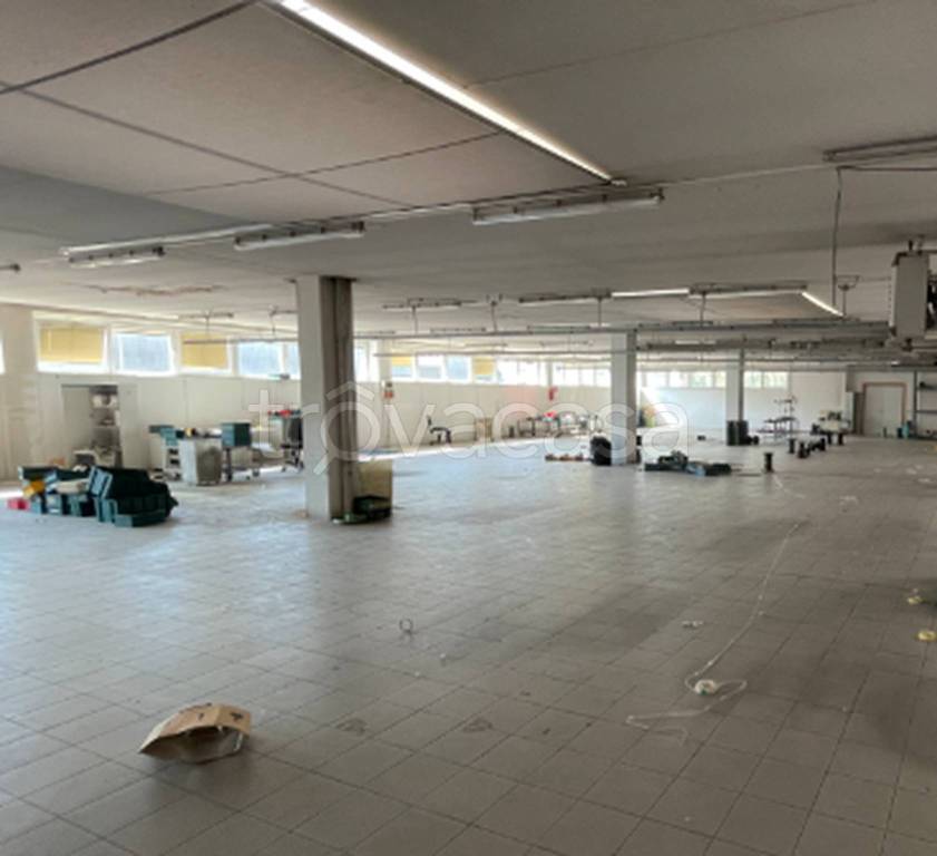 immagine annuncio 4 di 11