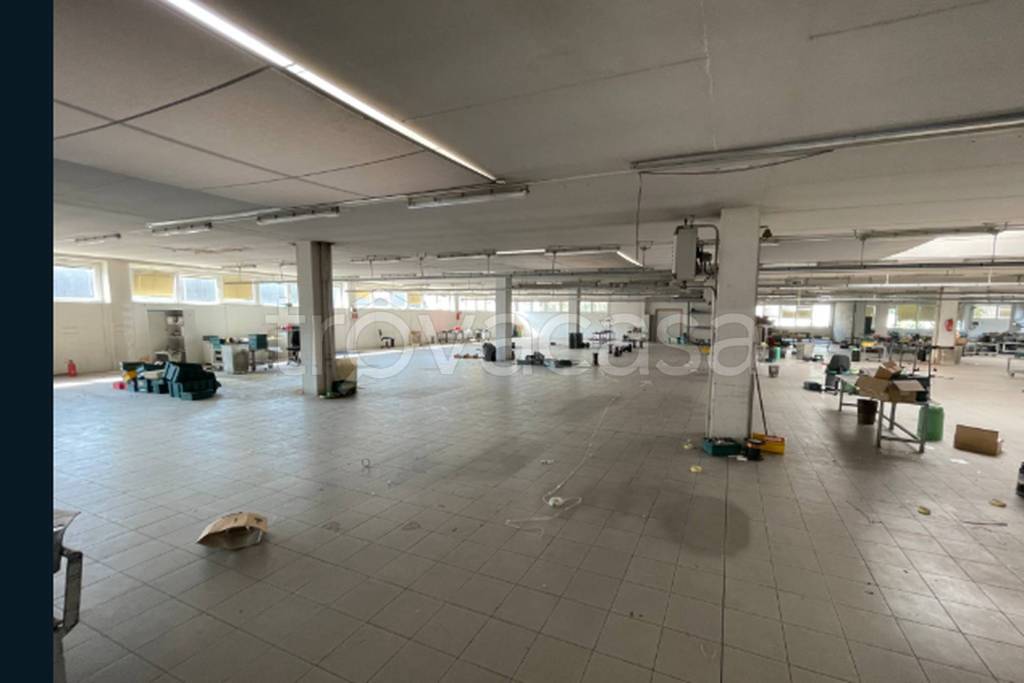 immagine annuncio 5 di 11