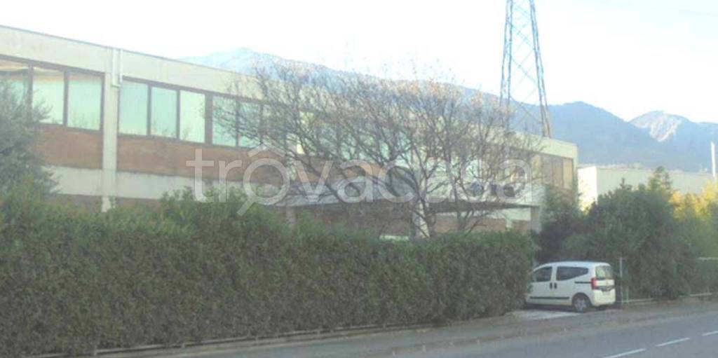 immagine annuncio 9 di 11