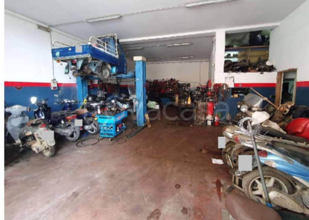 immagine annuncio 5 di 11