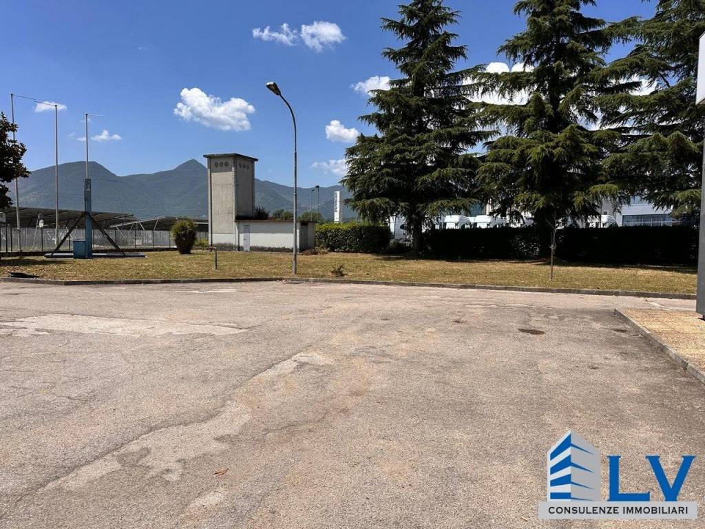 immagine annuncio 4 di 7