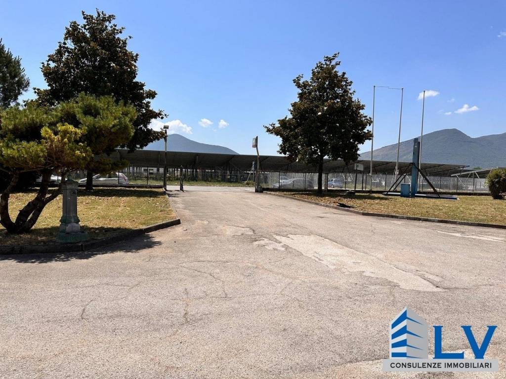 immagine annuncio 6 di 7