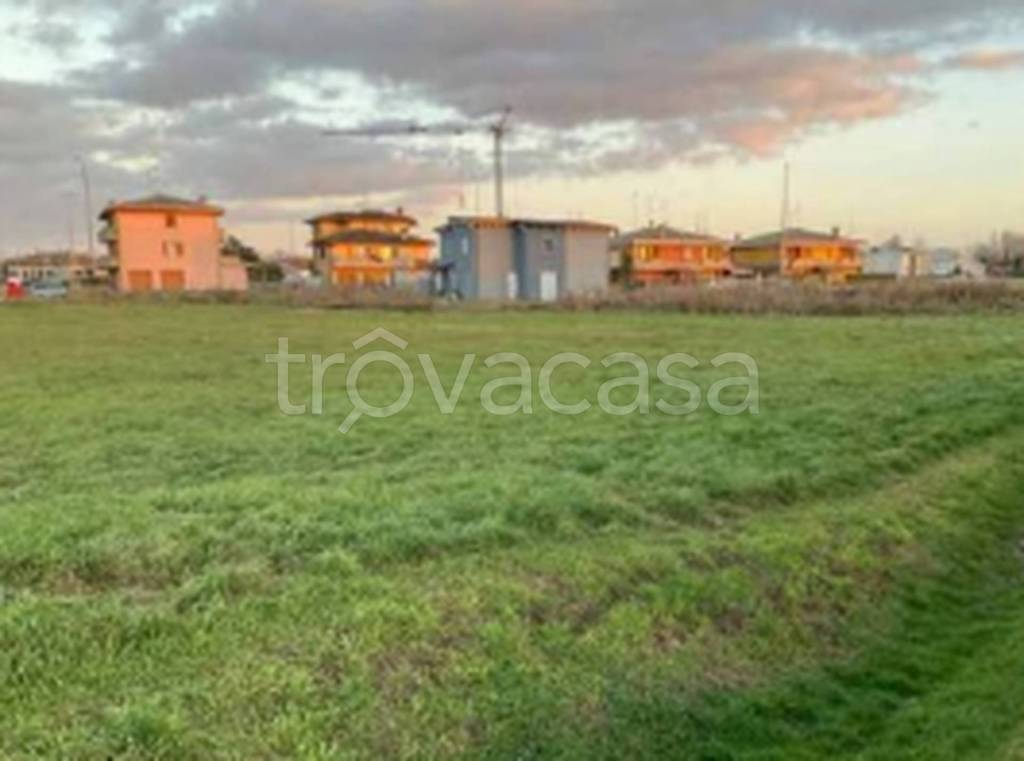 immagine annuncio 5 di 11