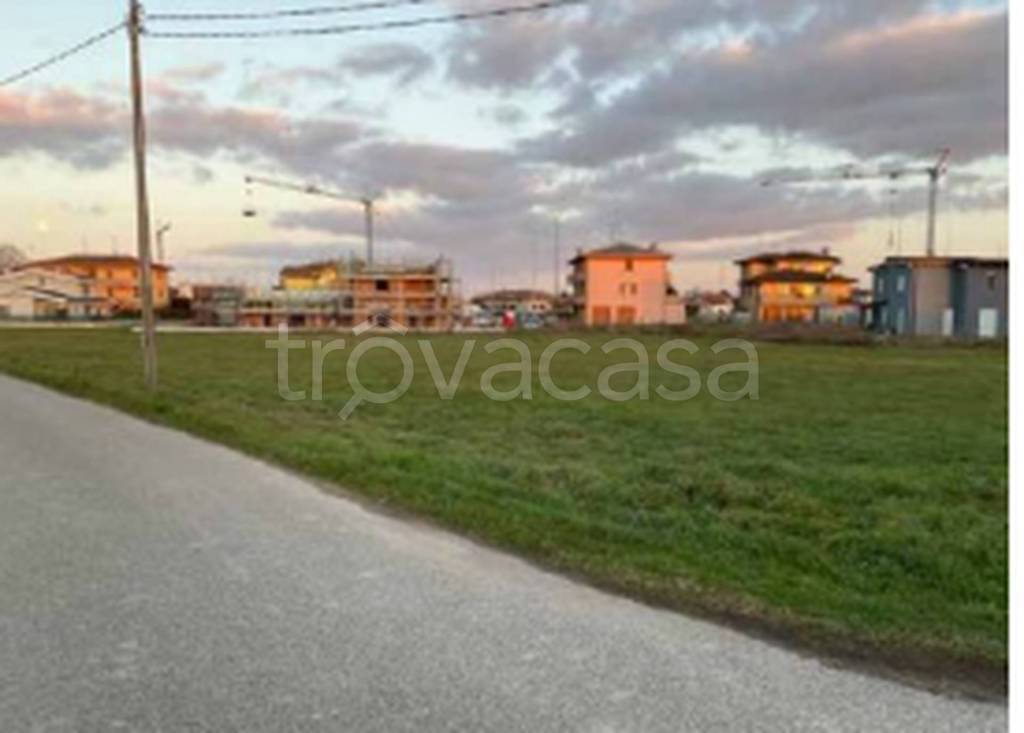 immagine annuncio 7 di 11