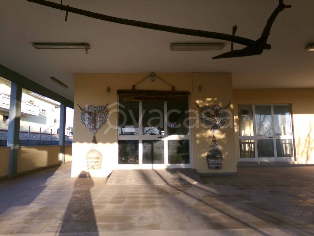 immagine annuncio 9 di 14