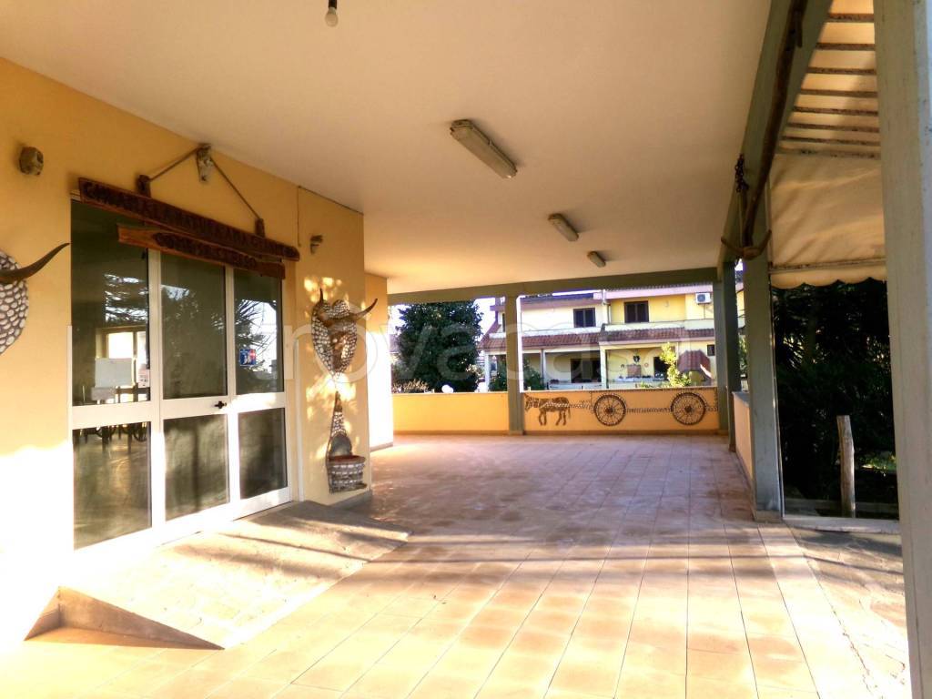 immagine annuncio 12 di 14