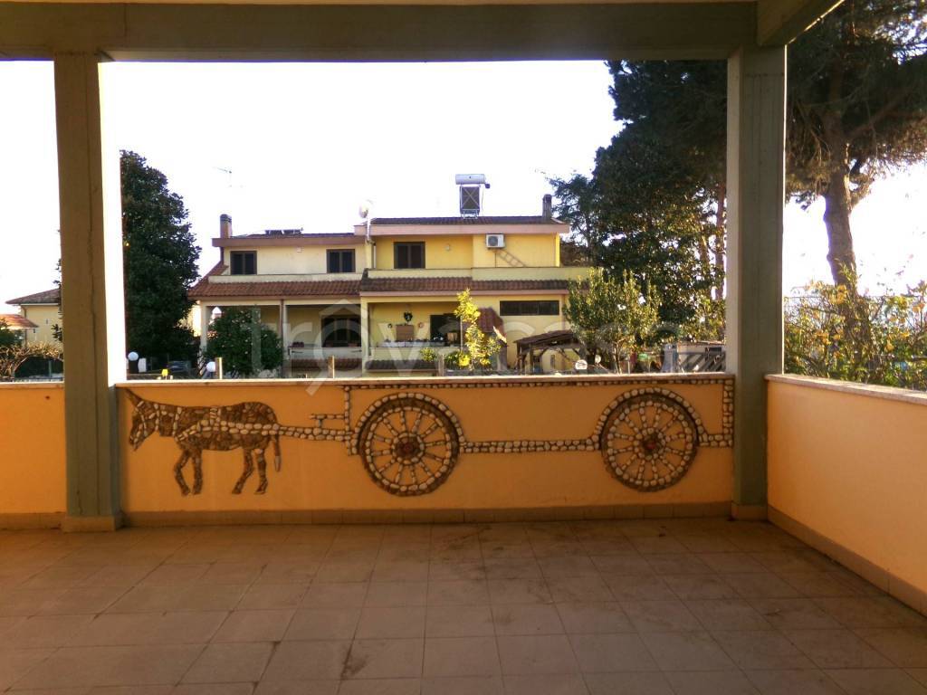 immagine annuncio 5 di 14