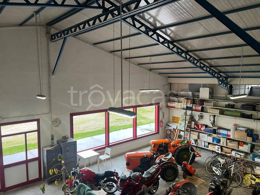 immagine annuncio 8 di 15