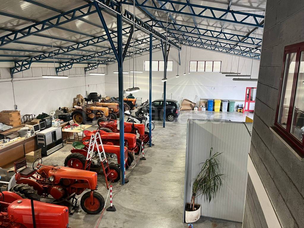 immagine annuncio 9 di 15