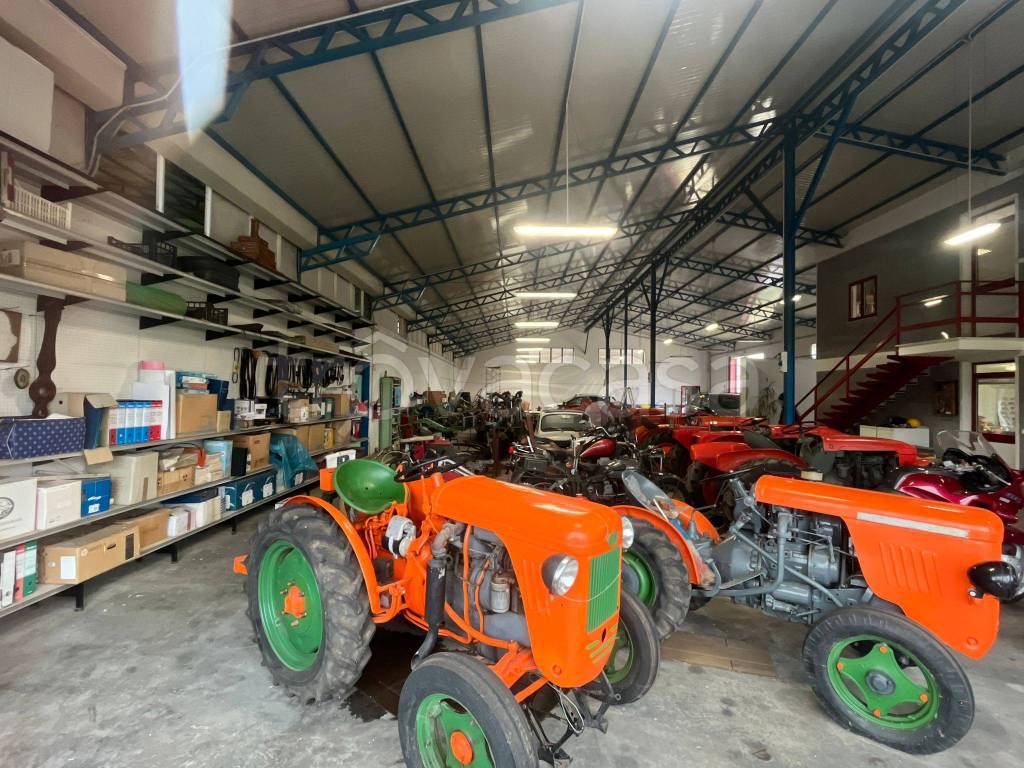 immagine annuncio 10 di 15