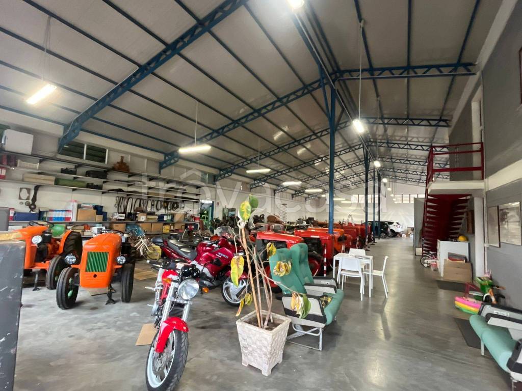 immagine annuncio 11 di 15