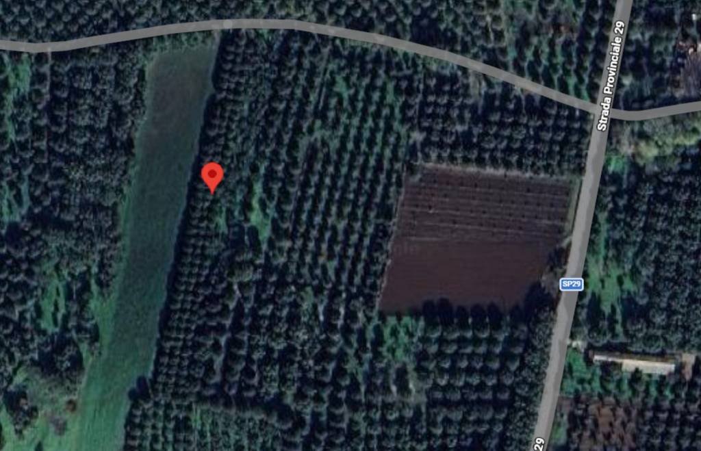 immagine annuncio 1 di 10