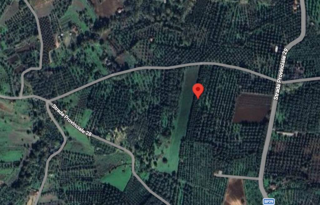 immagine annuncio 6 di 10