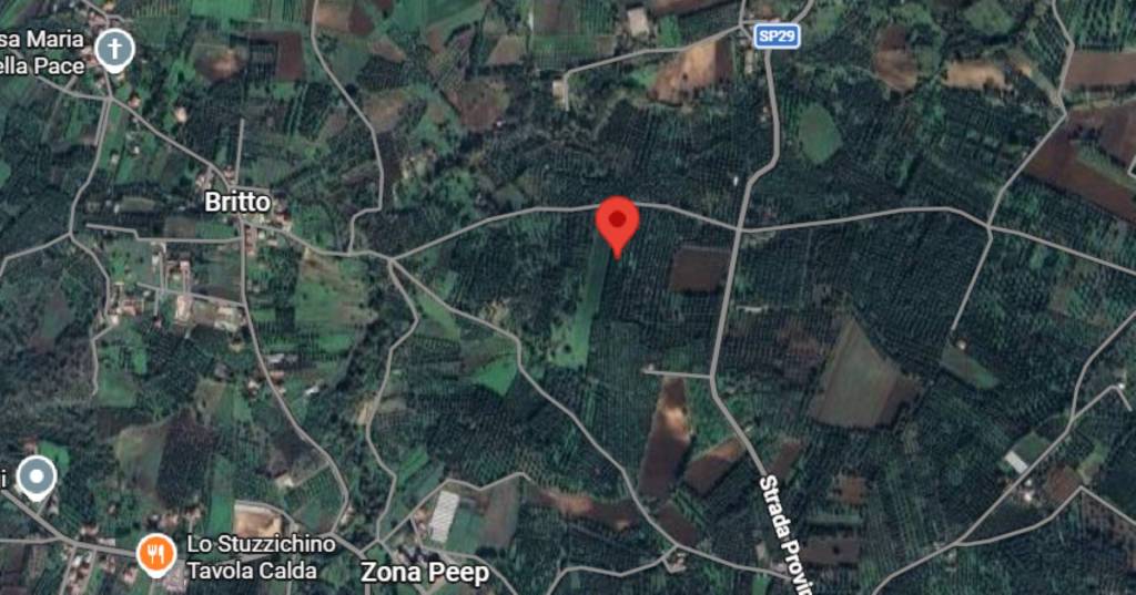 immagine annuncio 3 di 10