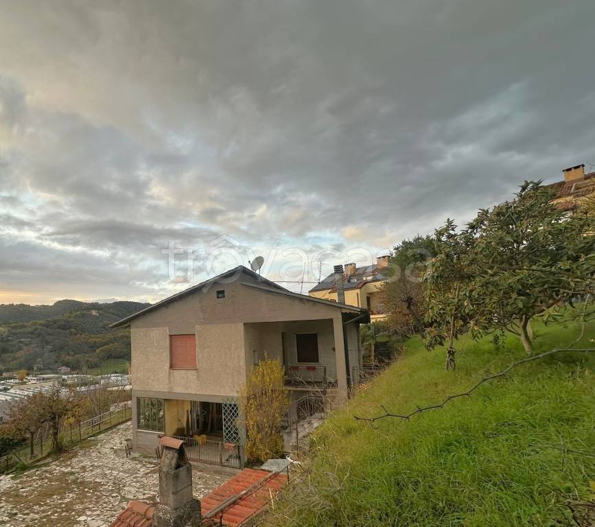 immagine annuncio 4 di 14