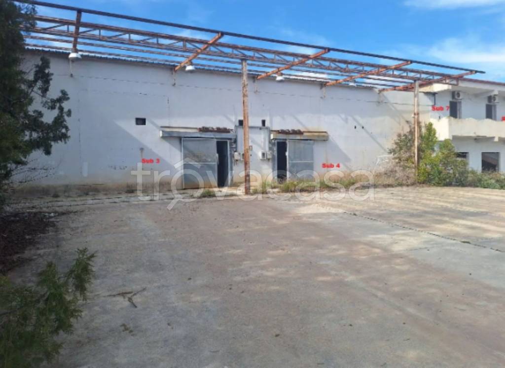 immagine annuncio 8 di 13