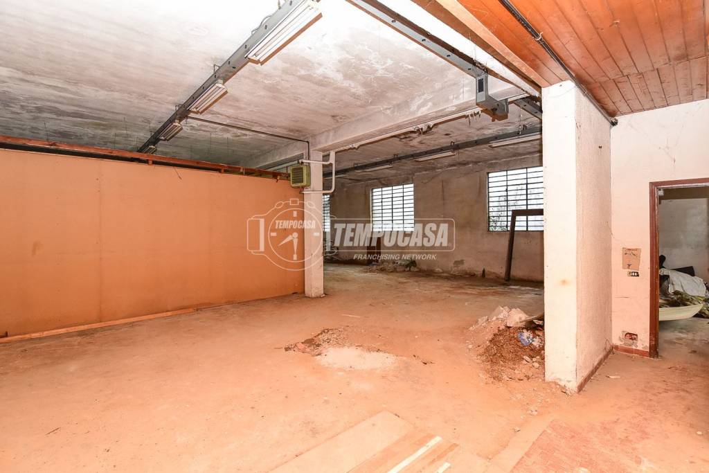 immagine annuncio 6 di 12