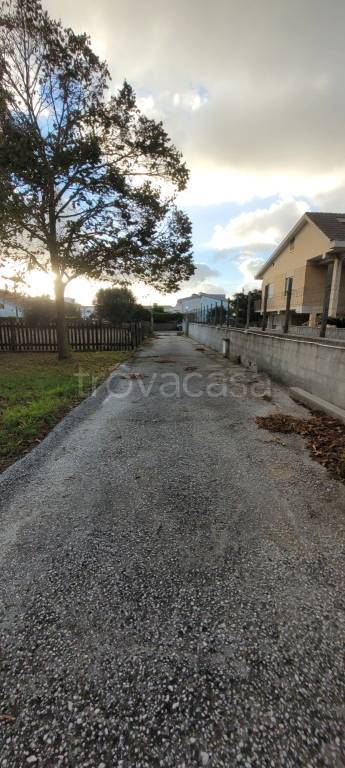 immagine annuncio 7 di 14