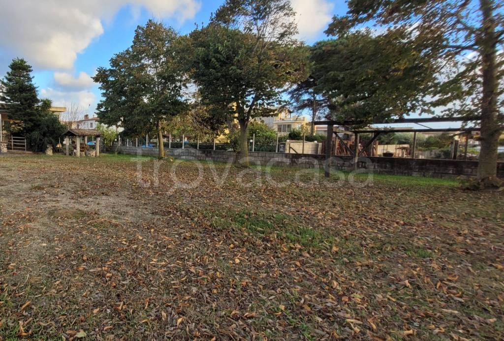 immagine annuncio 4 di 14