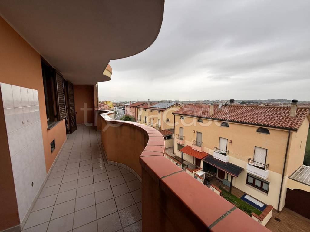 immagine annuncio 10 di 14