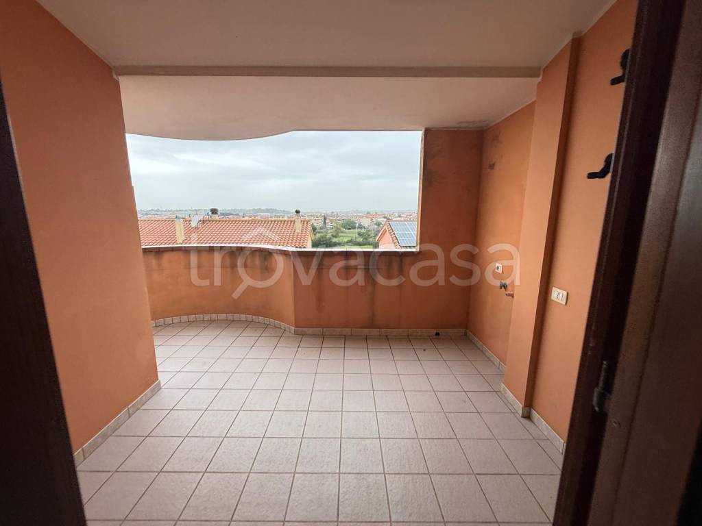 immagine annuncio 9 di 14