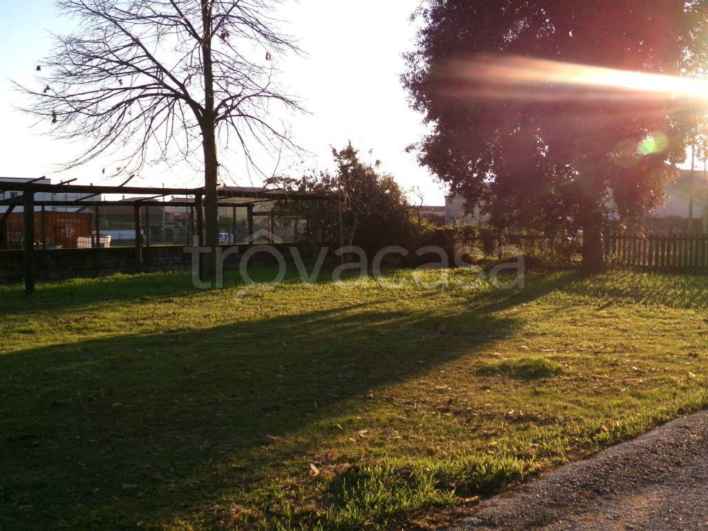 immagine annuncio 11 di 14