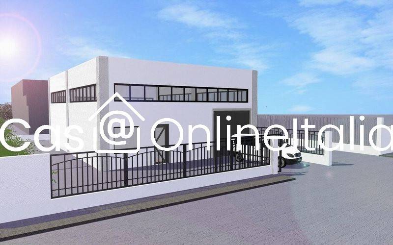 immagine annuncio 3 di 12