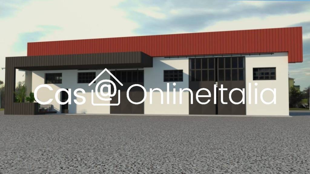 immagine annuncio 11 di 12