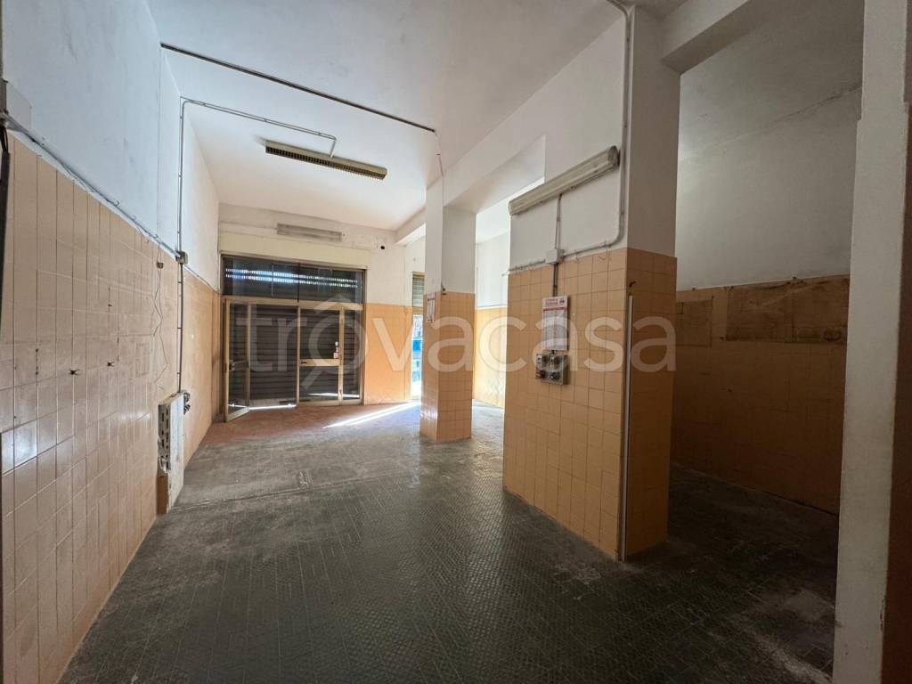 immagine annuncio 1 di 7