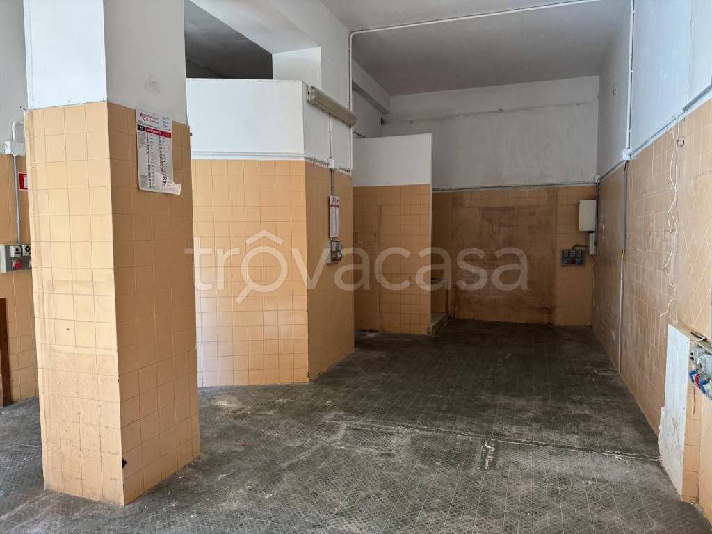 immagine annuncio 4 di 7