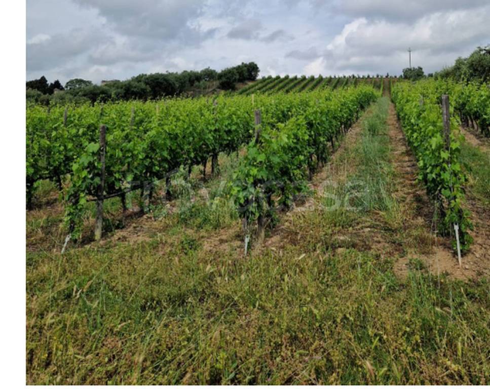 immagine annuncio 3 di 12