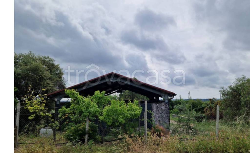 immagine annuncio 4 di 12