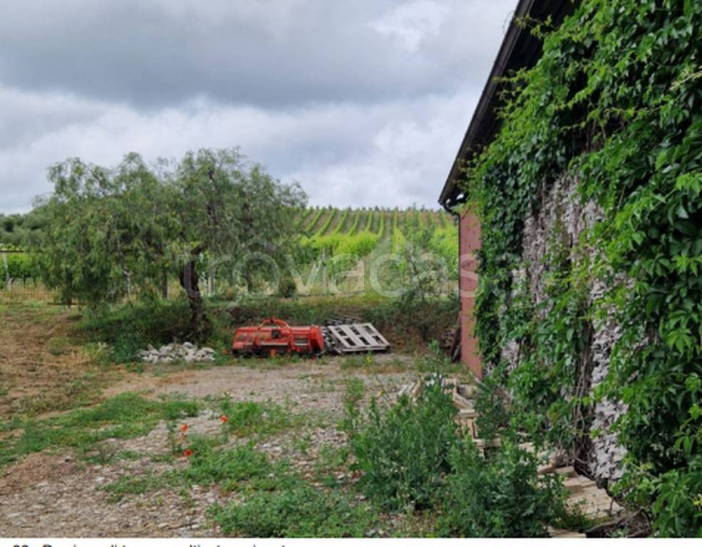 immagine annuncio 5 di 12